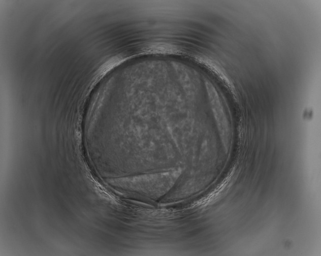 X0000097921025200803281421