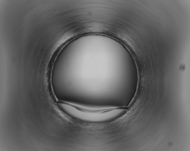 X0000097921026200803281421