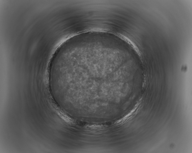 X0000097921027200803281421