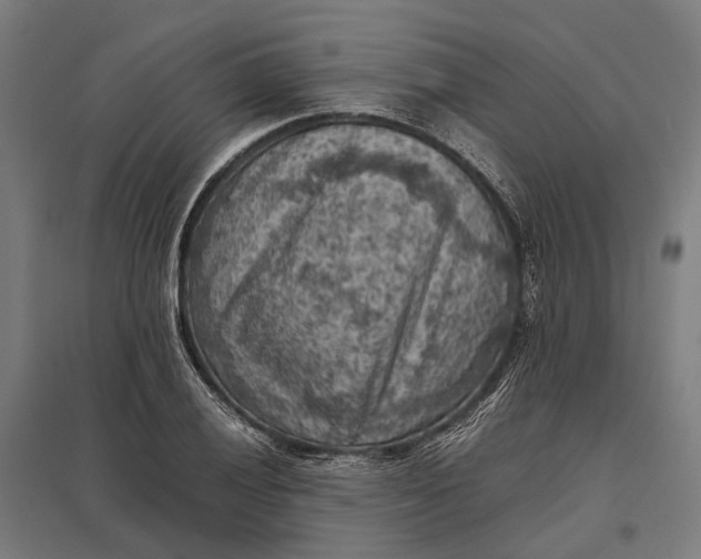 X0000097921028200803281421