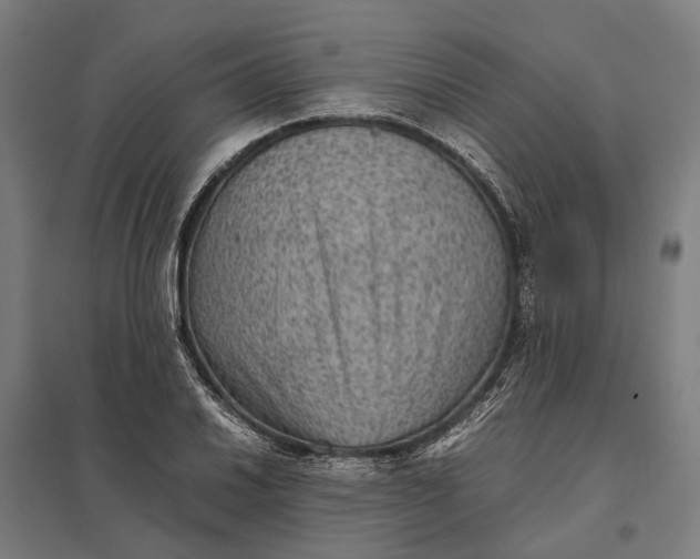 X0000097921030200803281421