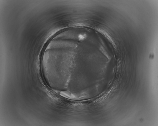 X0000097921031200803281421