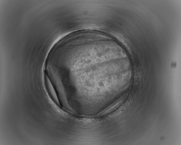 X0000097921032200803281421