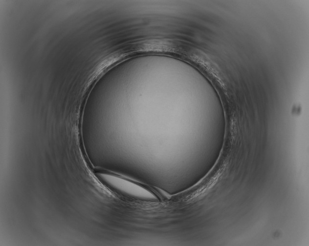 X0000097921033200803281421