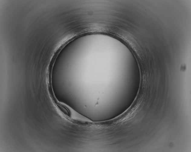 X0000097921034200803281421