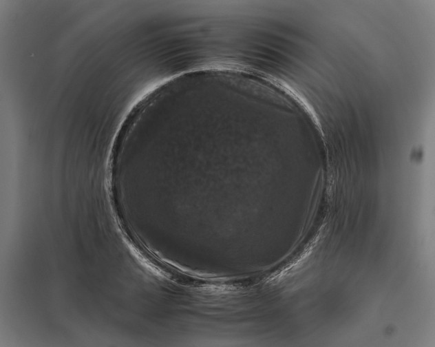 X0000097921037200803281421