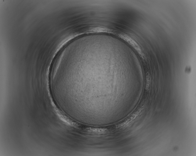 X0000097921039200803281421