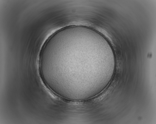 X0000097921040200803281421