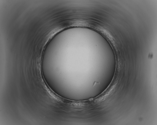 X0000097921041200803281421