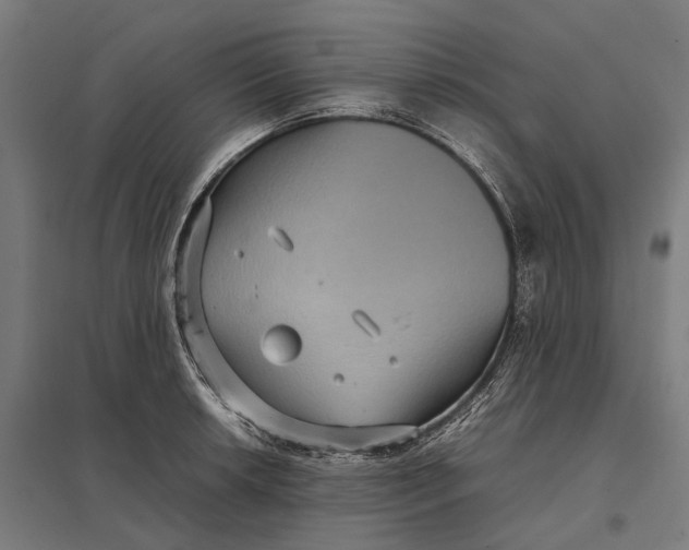 X0000097921042200803281421