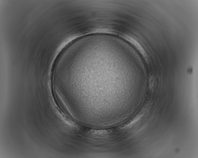 X0000097921043200803281421