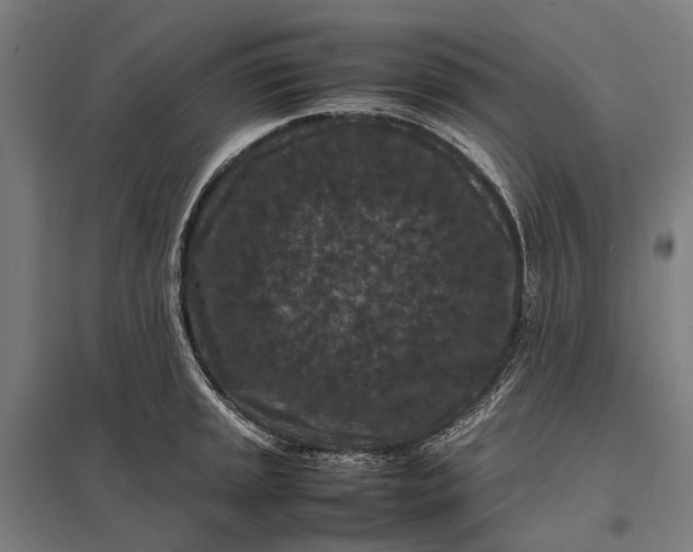 X0000097921045200803281421