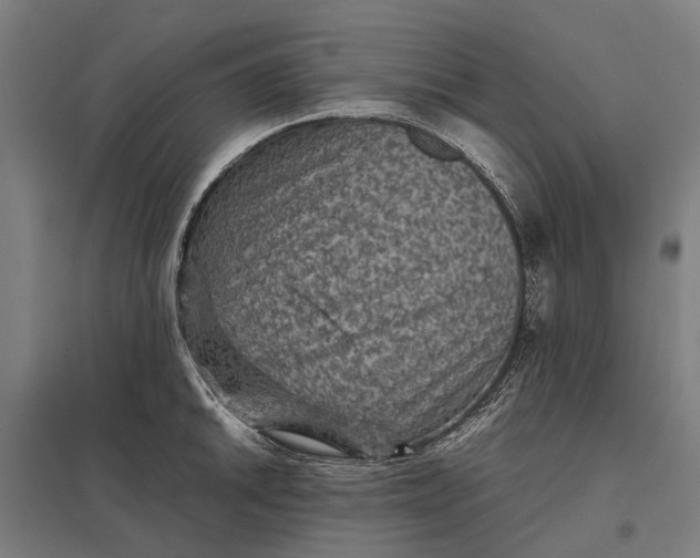 X0000097921046200803281421