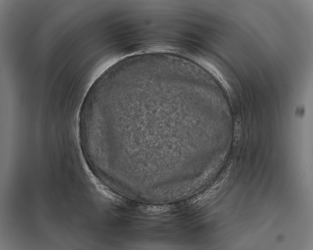 X0000097921047200803281421