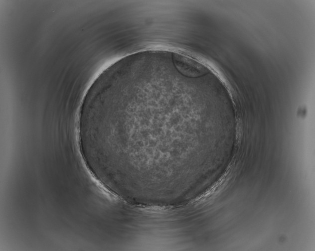 X0000097921048200803281421