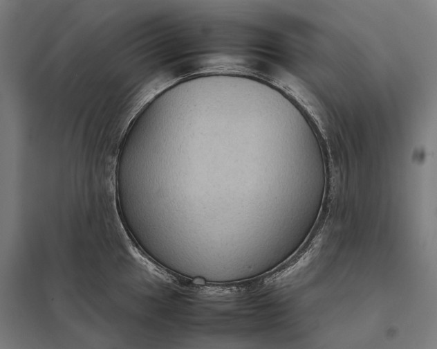 X0000097921049200803281421