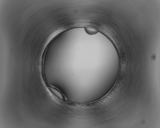 X0000097921050200803281421