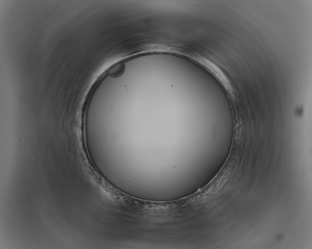 X0000097921051200803281421