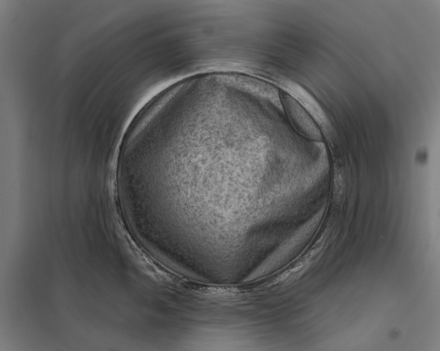 X0000097921052200803281421