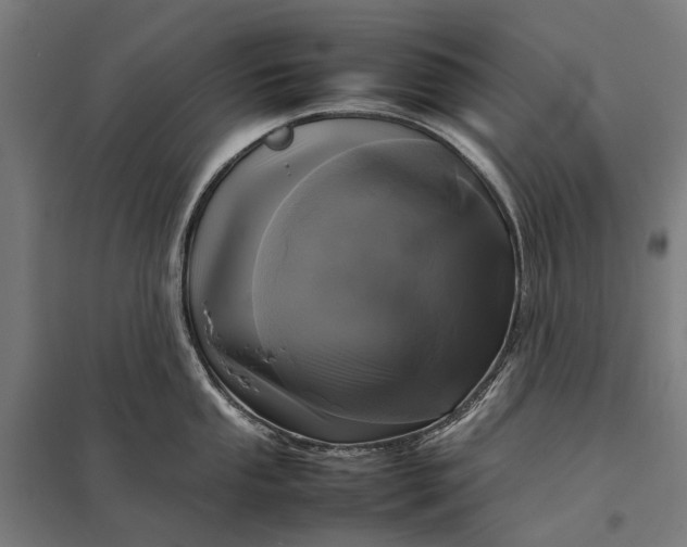 X0000097921053200803281421