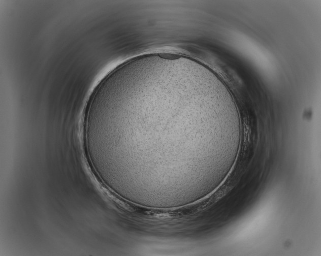 X0000097921054200803281421