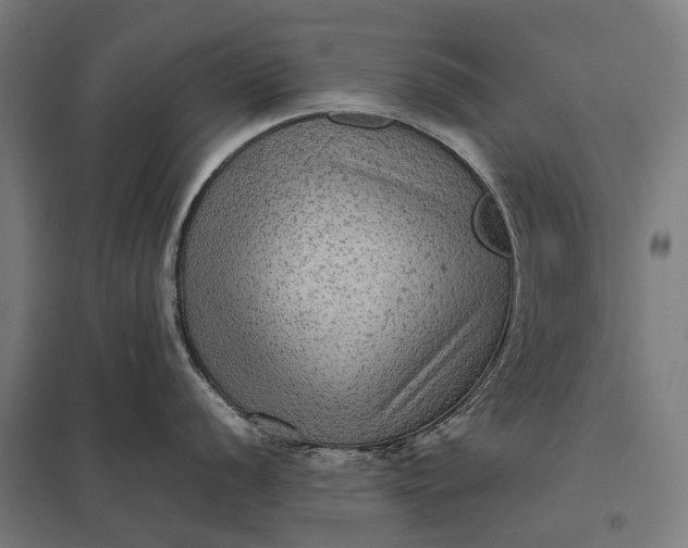 X0000097921056200803281421