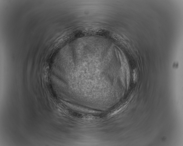 X0000097921059200803281421