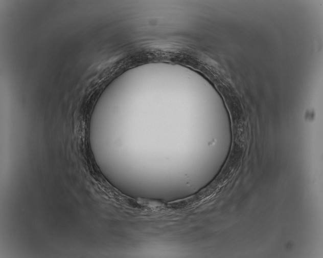 X0000097921061200803281421