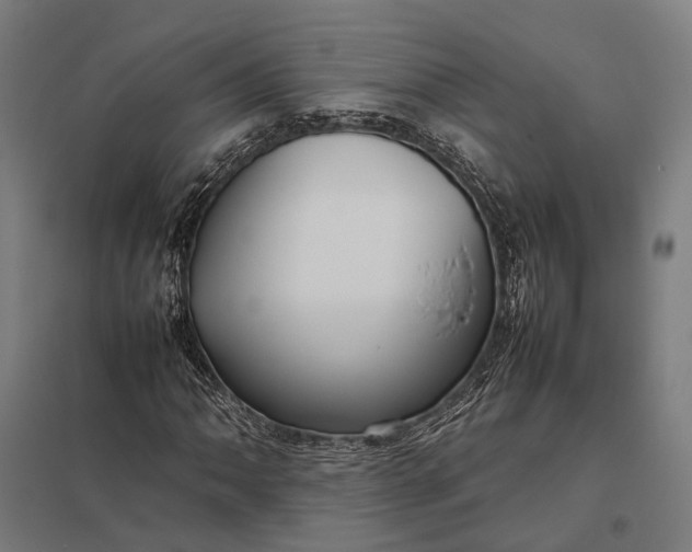 X0000097921062200803281421