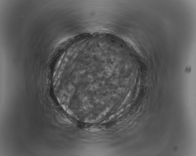 X0000097921063200803281421