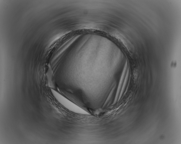 X0000097921064200803281421