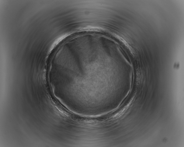 X0000097921066200803281421