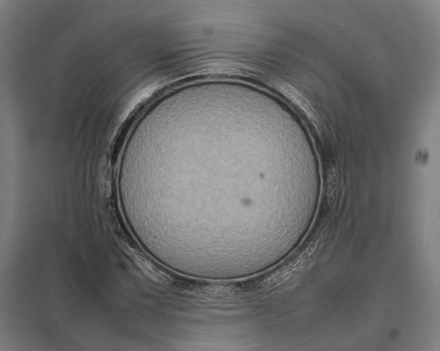 X0000097921067200803281421