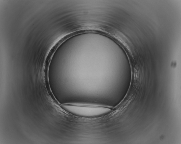 X0000097921068200803281421