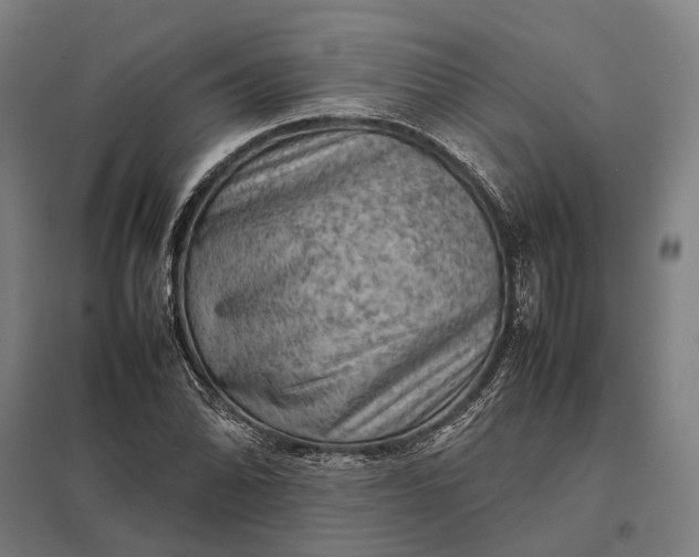 X0000097921070200803281421