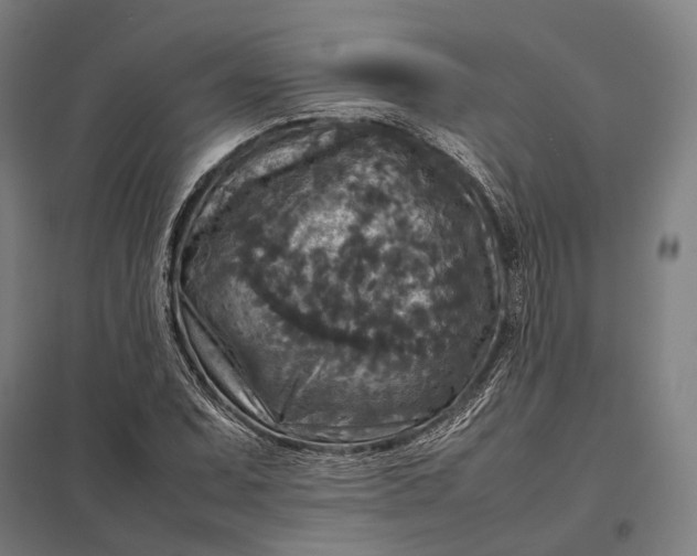 X0000097921071200803281421