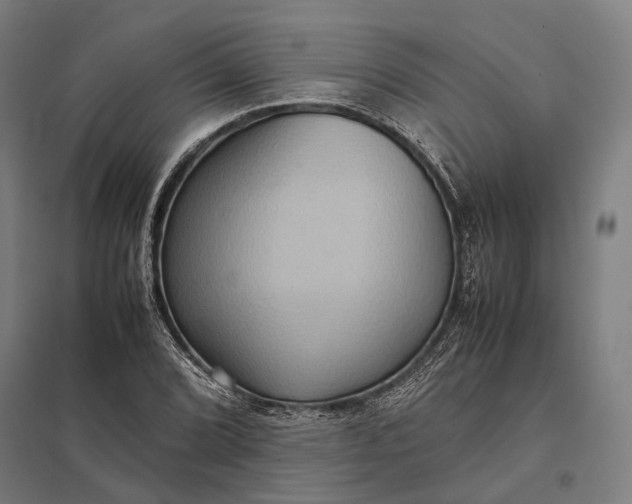 X0000097921072200803281421