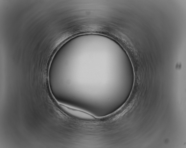 X0000097921073200803281421