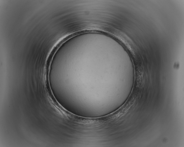 X0000097921076200803281421