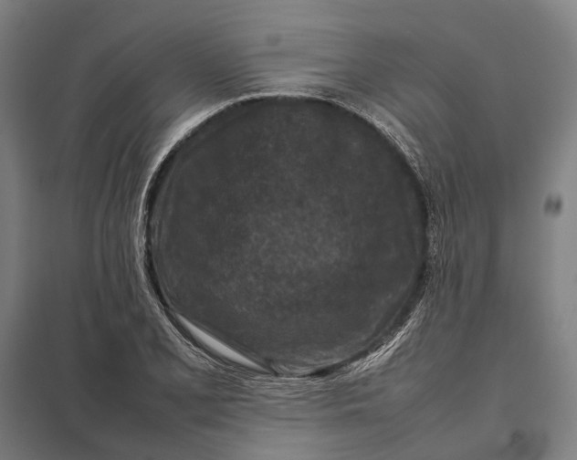 X0000097921077200803281421