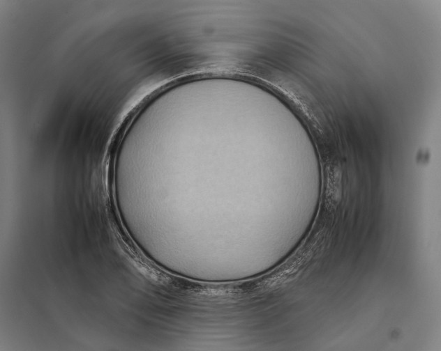 X0000097921078200803281421