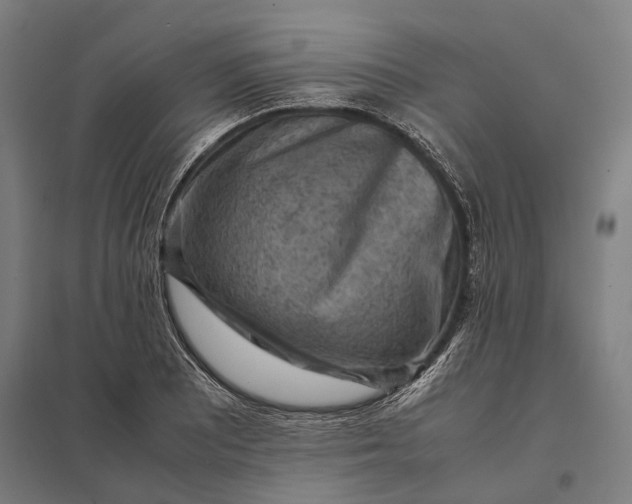 X0000097921081200803281420