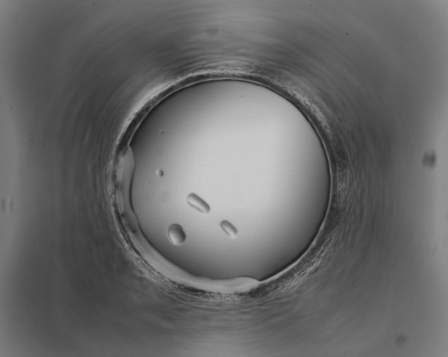 X0000097921085200803281420