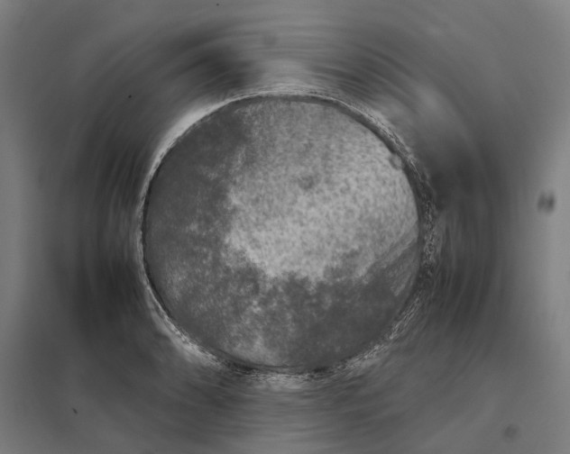 X0000097921086200803281420