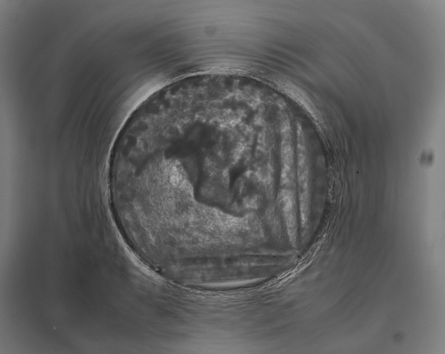 X0000097921087200803281420