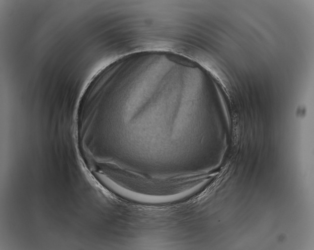 X0000097921088200803281420