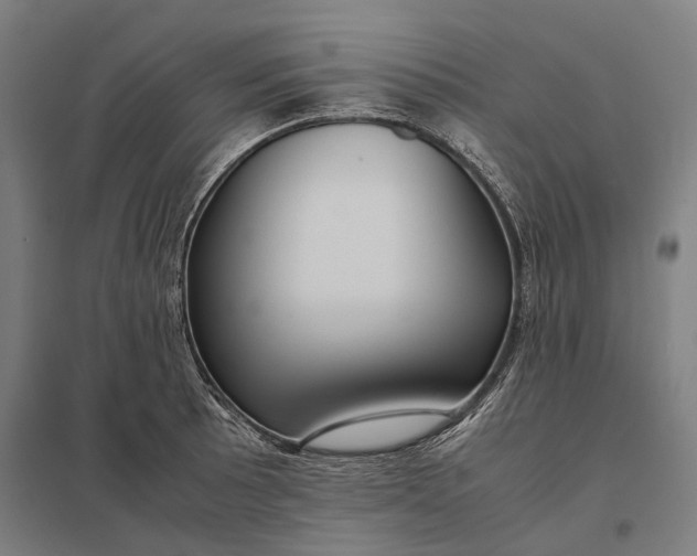 X0000097921089200803281420