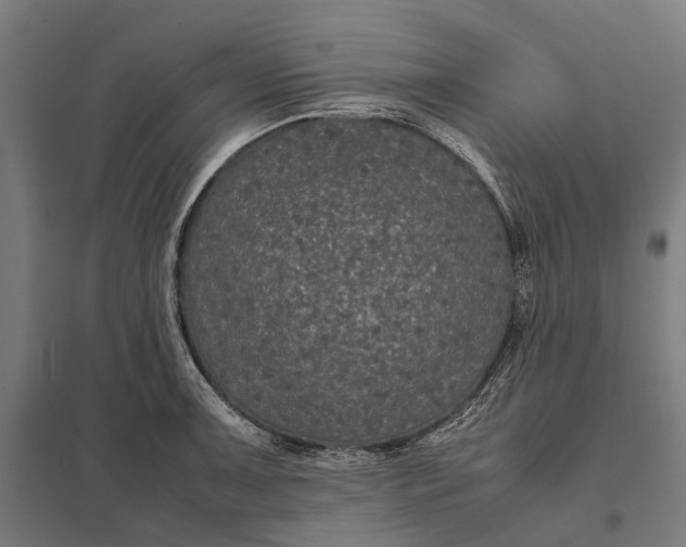 X0000097921091200803281420