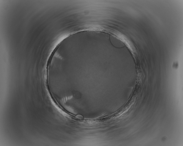 X0000097921095200803281420