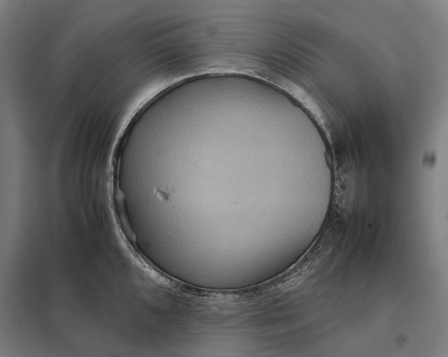 X0000097921096200803281420